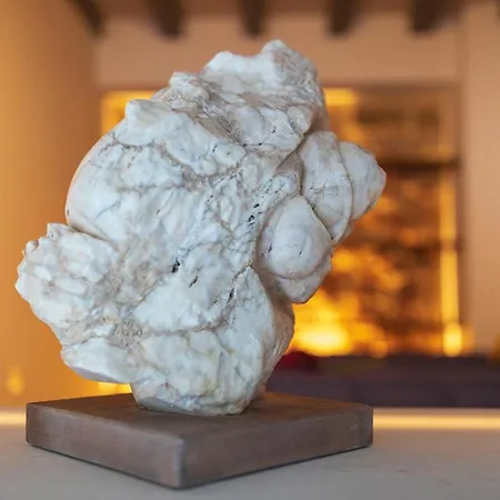 Domus Lapidis - El Estudio